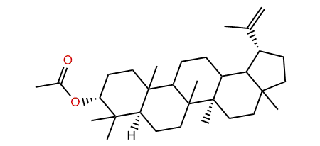 Epilupeol acetate